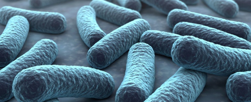 Une dent traitée peut-elle s’infecter ?
